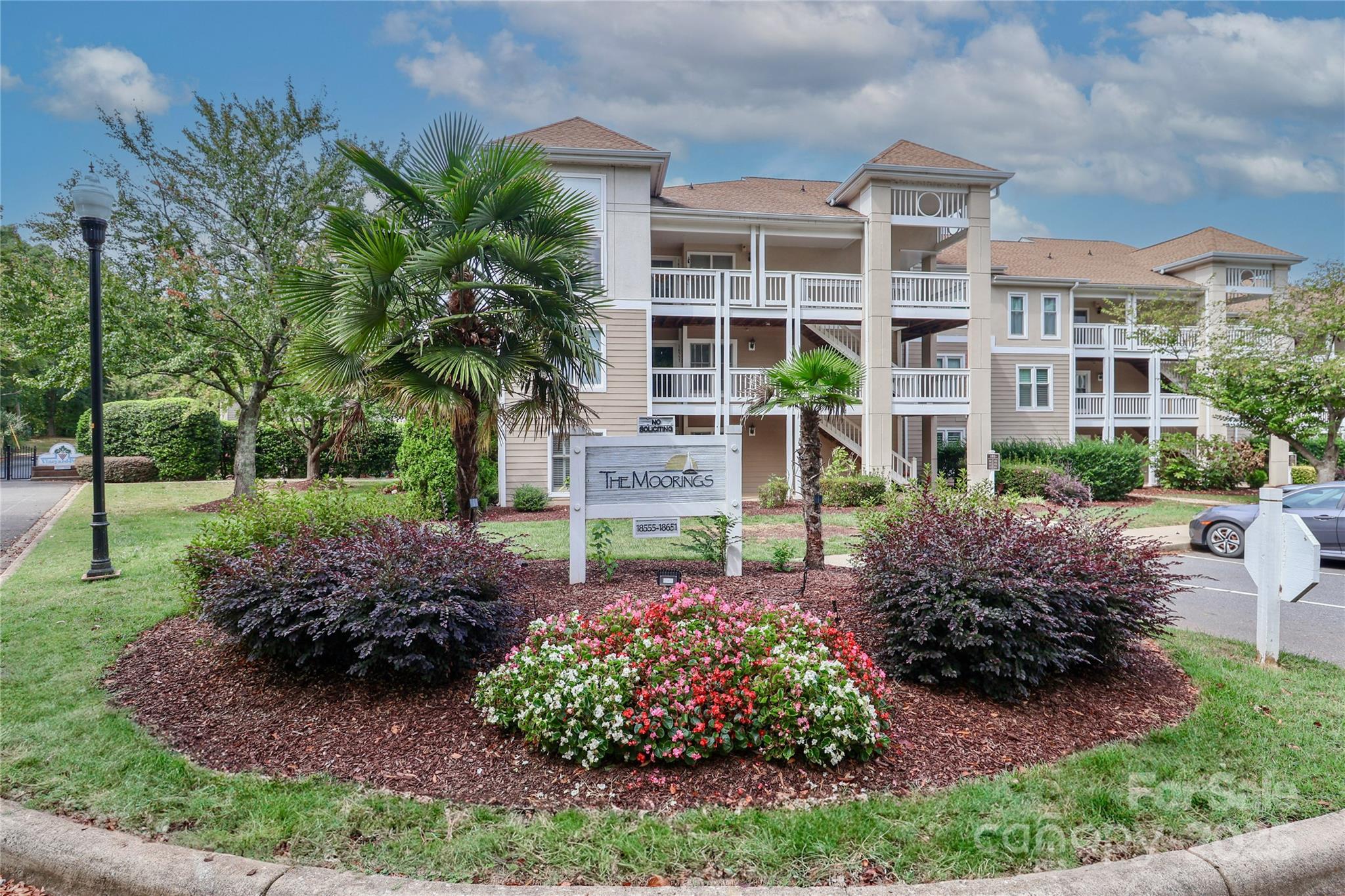 18563 Vineyard Point Lane Cornelius, NC 28031 - Photo 3 of 23 a view of a garden with plants and large trees