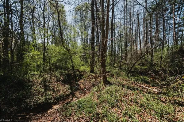 $35,000 | 150 Kyle Smith Court, Winston-Salem, NC 27127