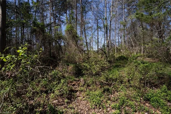 $35,000 | 150 Kyle Smith Court, Winston-Salem, NC 27127