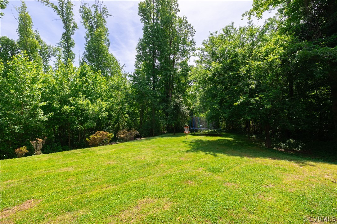 6039 Old Nottoway Road Crewe, VA 23930 - Photo 40 of 46 a view of a field of grass and trees