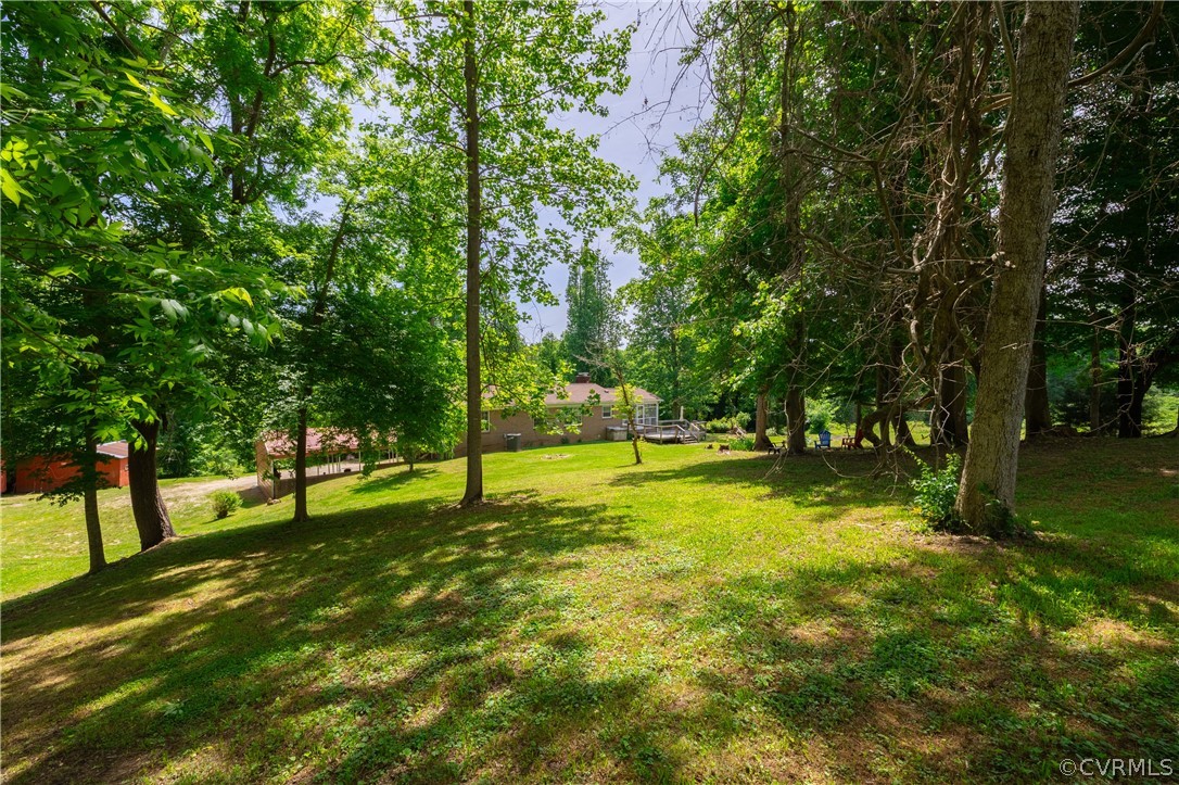 6039 Old Nottoway Road Crewe, VA 23930 - Photo 42 of 46 a view of yard with trees