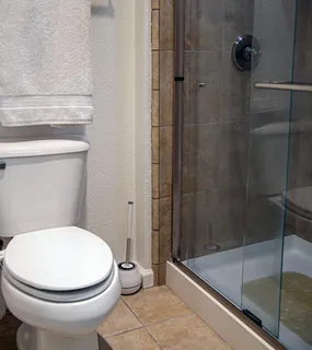 a bathroom with a toilet and a shower