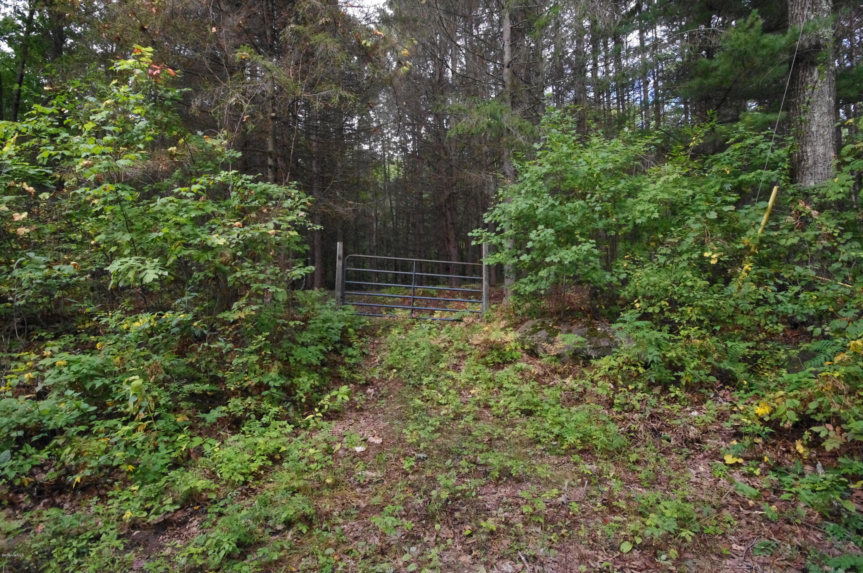 Brush Hill Road Great Barrington, MA 01230 - Photo 1 of 5 Entrance gate to property