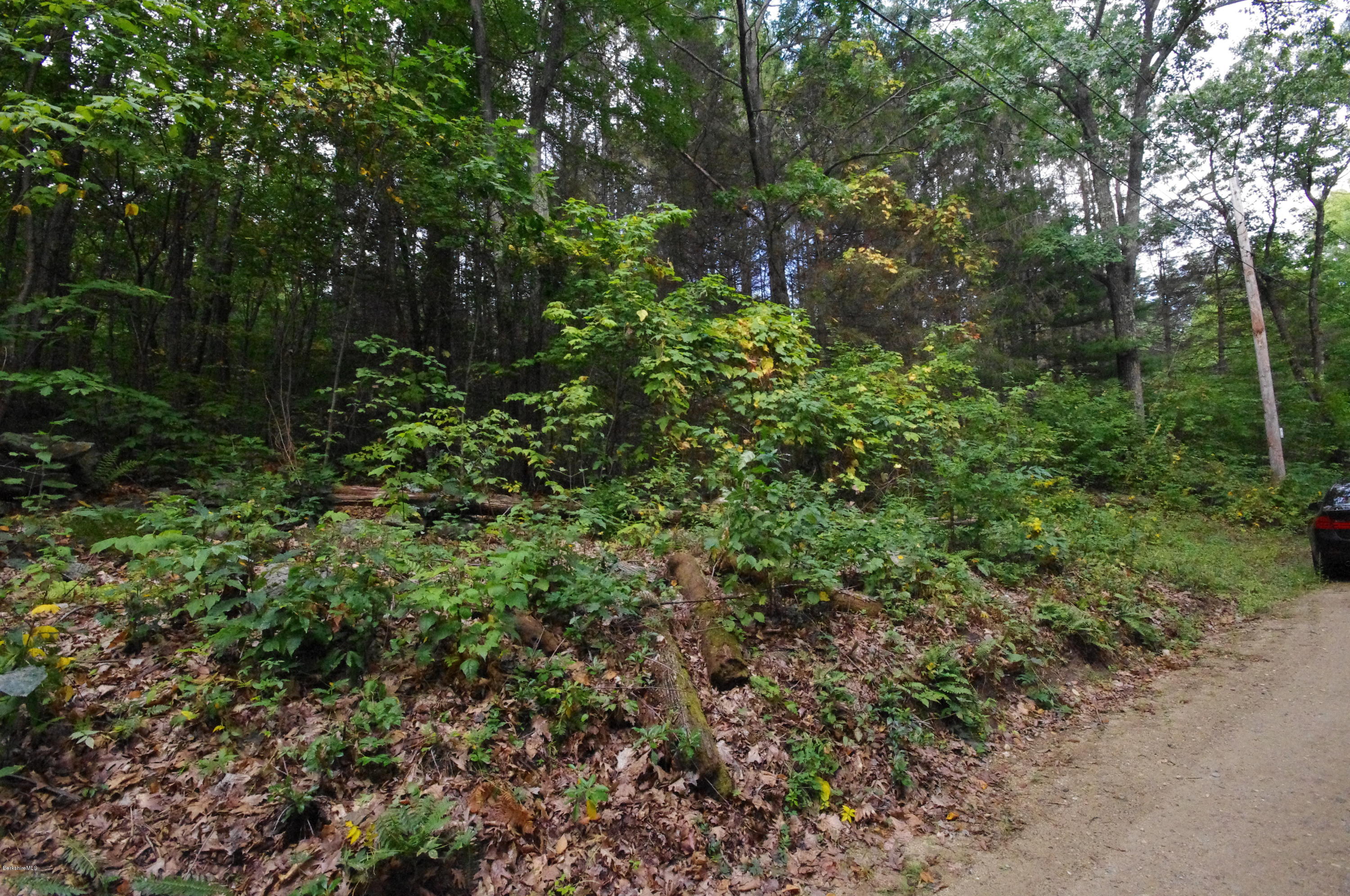 Brush Hill Road Great Barrington, MA 01230 - Photo 3 of 5 Side view of Property