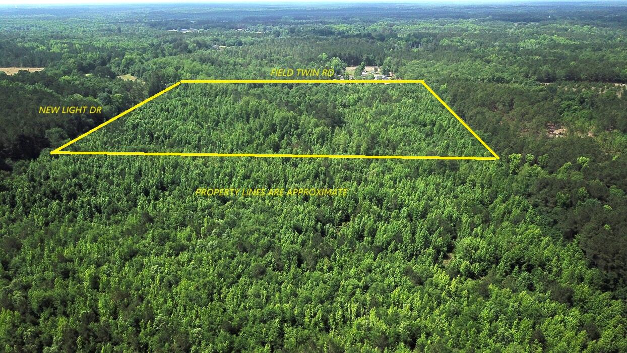 0 New Light Drive Neeses, SC 29107 - Photo 3 of 14 DJI_0016