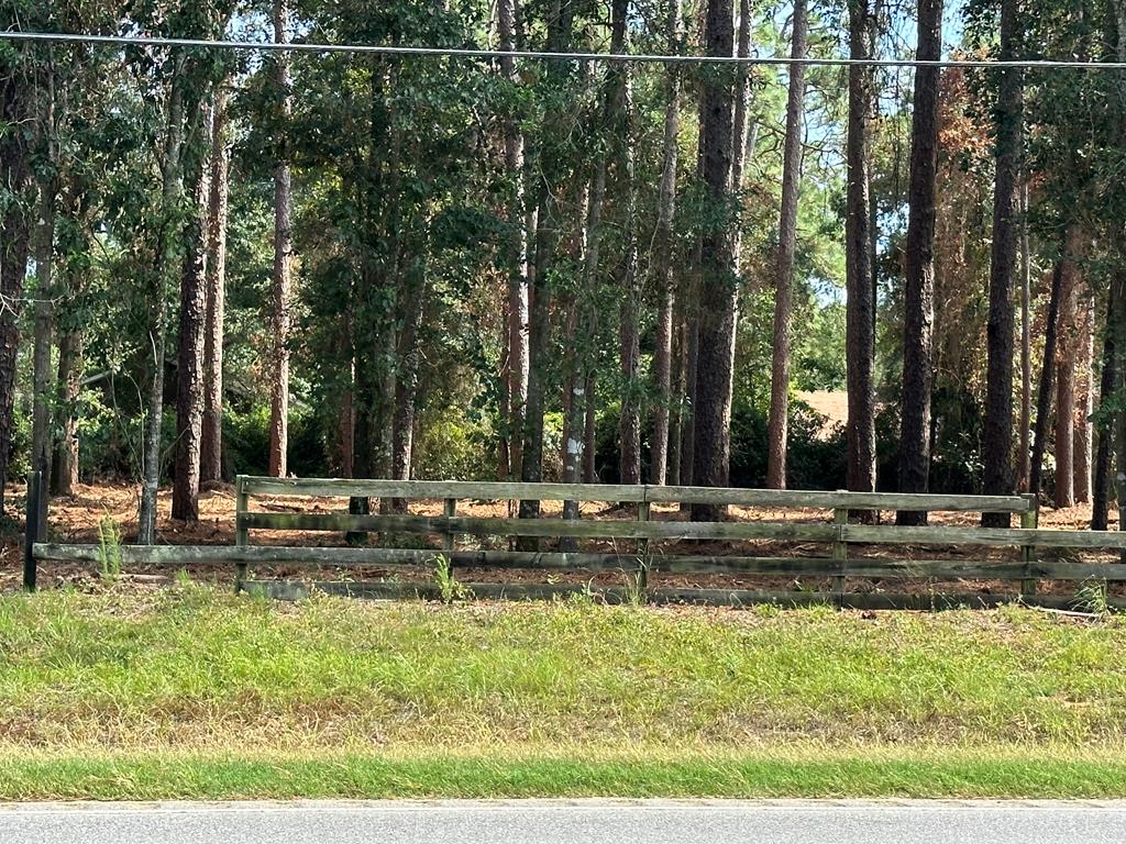 0 State Highway Geneva, AL 36340 - Photo 1 of 8