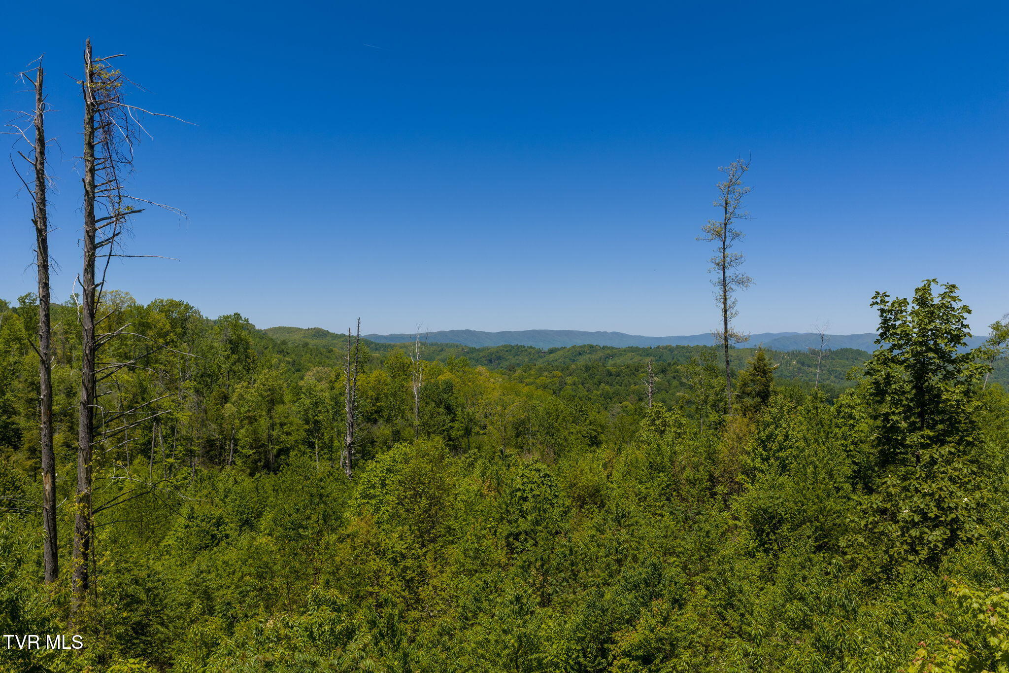 Tbd Walnut Mountain Road, Unit TBD Butler, TN 37640 - Photo 3 of 22 1-web-or-mls-DJI_20260512141426_0692_D