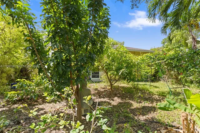 a view of a house with a tree