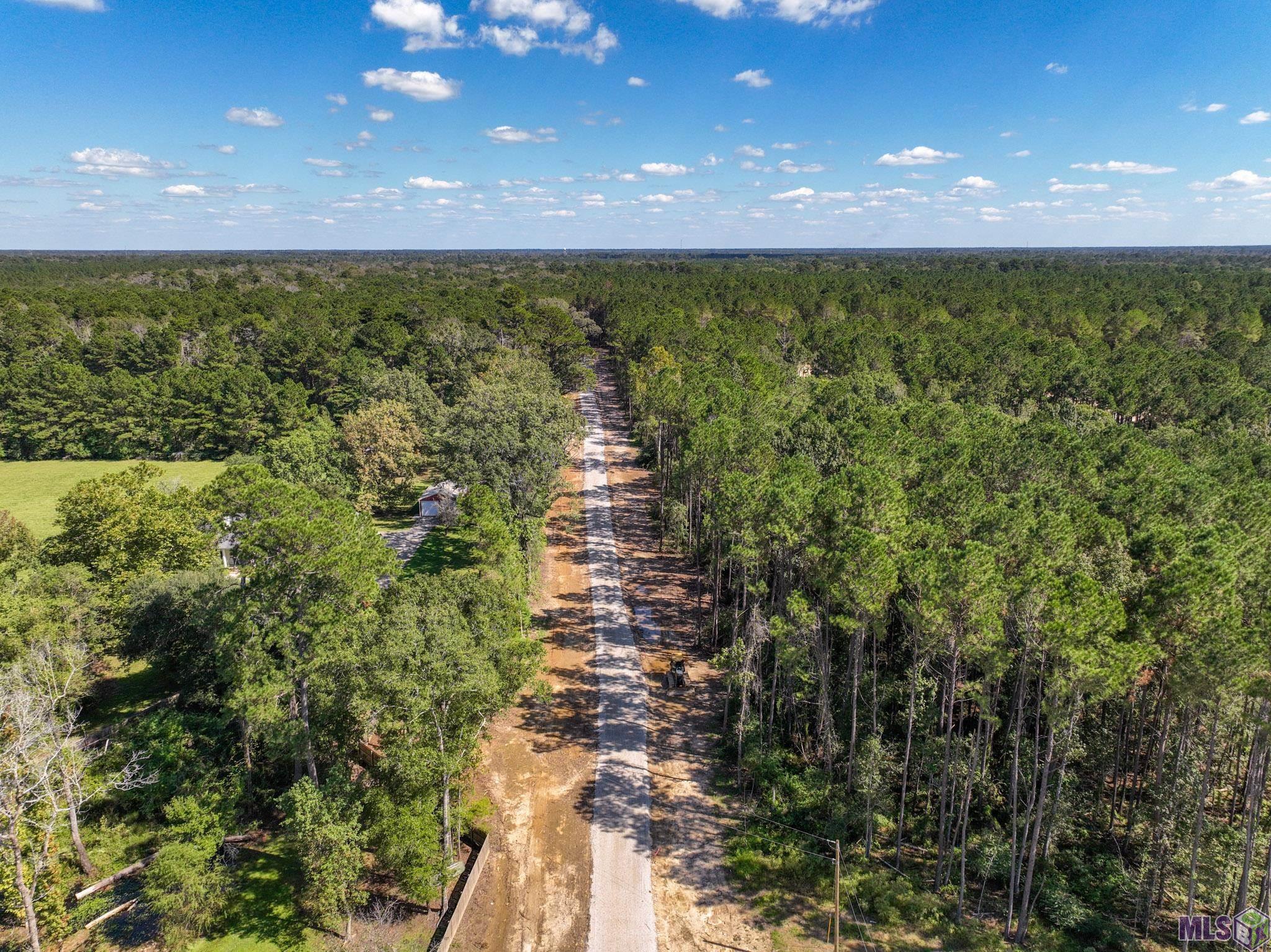 34754 Clinton Allen Road Denham Springs, LA 70706 - Photo 5 of 12