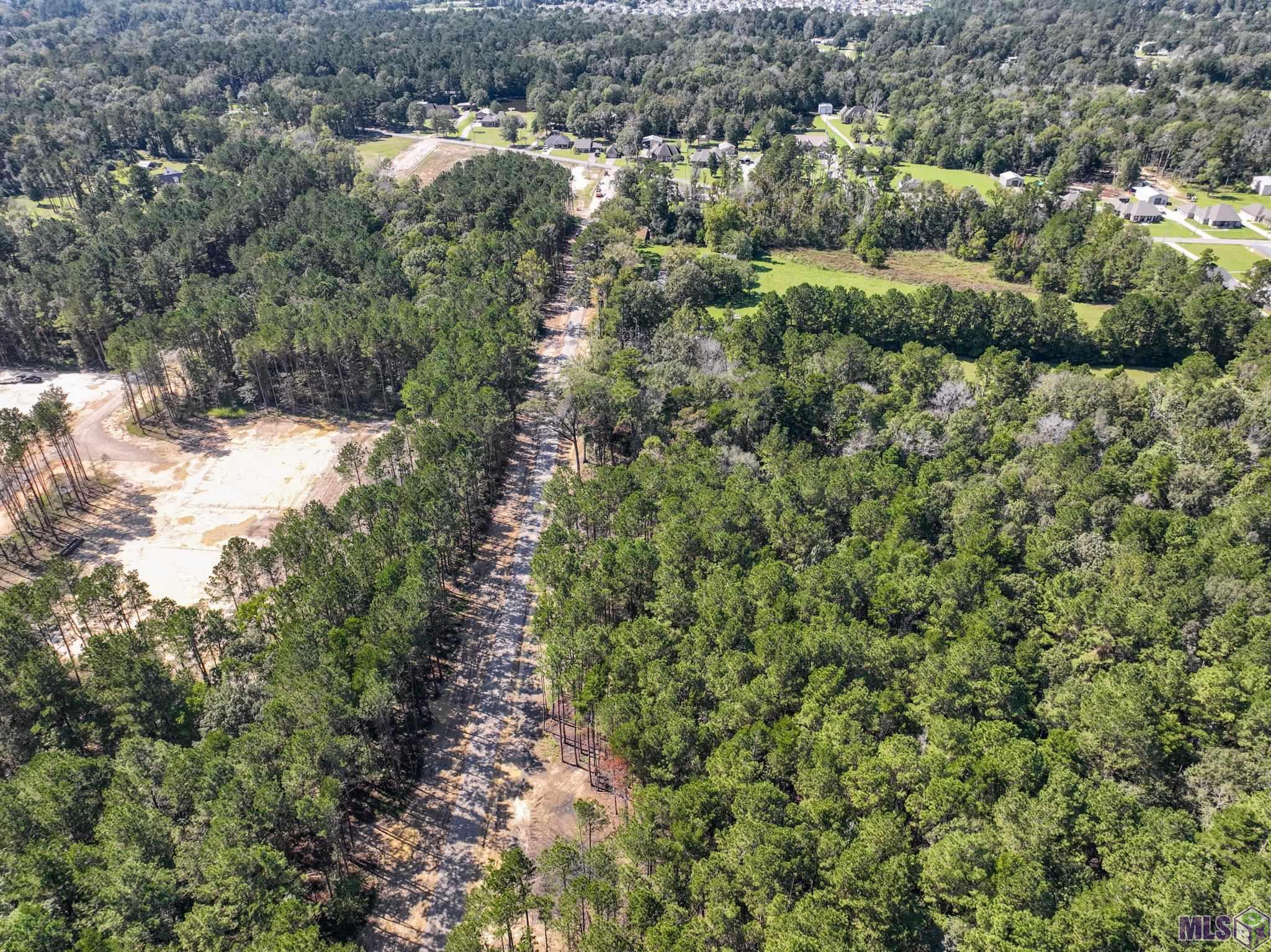 34754 Clinton Allen Road Denham Springs, LA 70706 - Photo 6 of 12