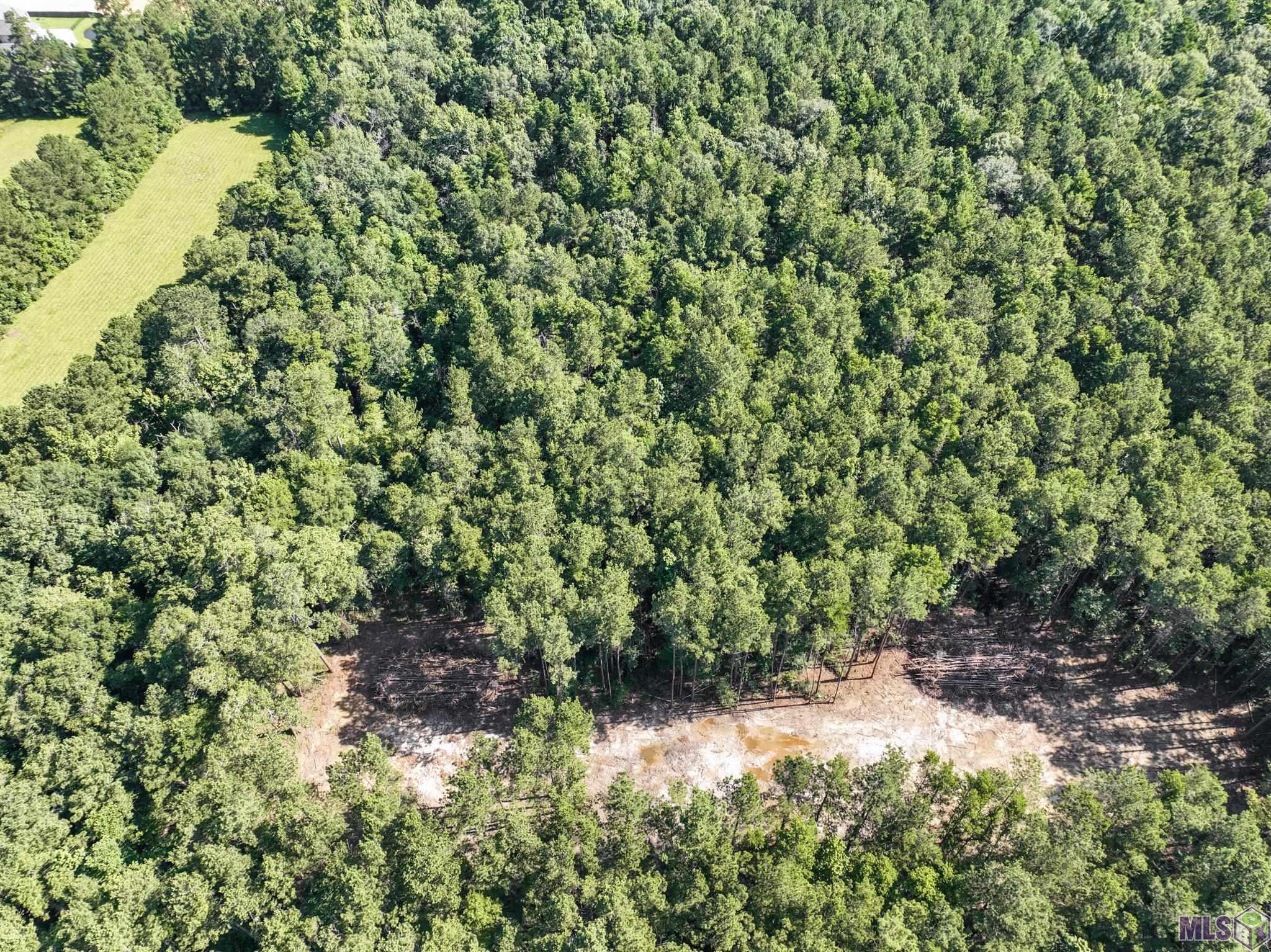 34754 Clinton Allen Road Denham Springs, LA 70706 - Photo 9 of 12