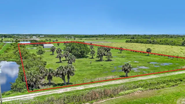 a view of a field with an trees