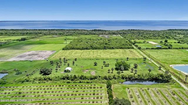 a view of a lush green field