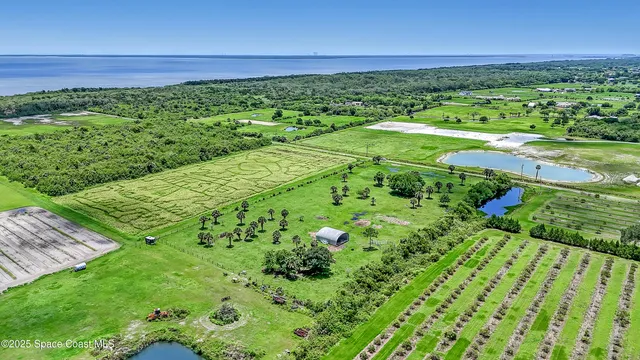 a view of a yard with an outdoor space