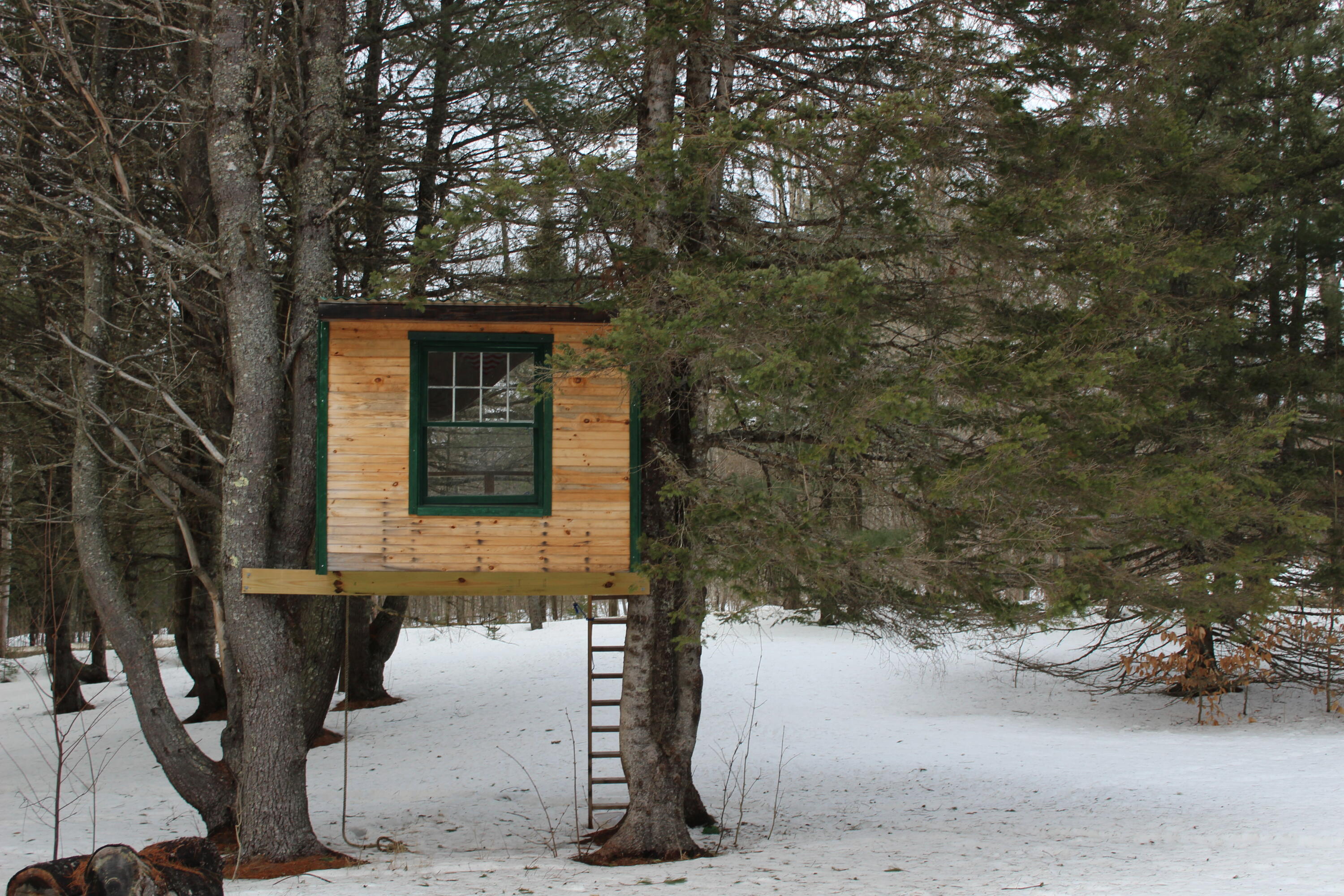 32 Church Hill Road Burlington, ME 04417 - Photo 21 of 66 Tree fort