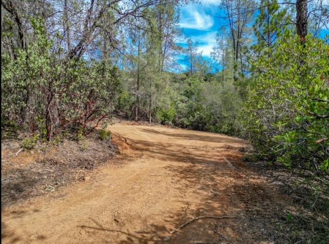 0 Quail Run Road Redding, CA 96003 - Photo 4 of 14 IMG_2872