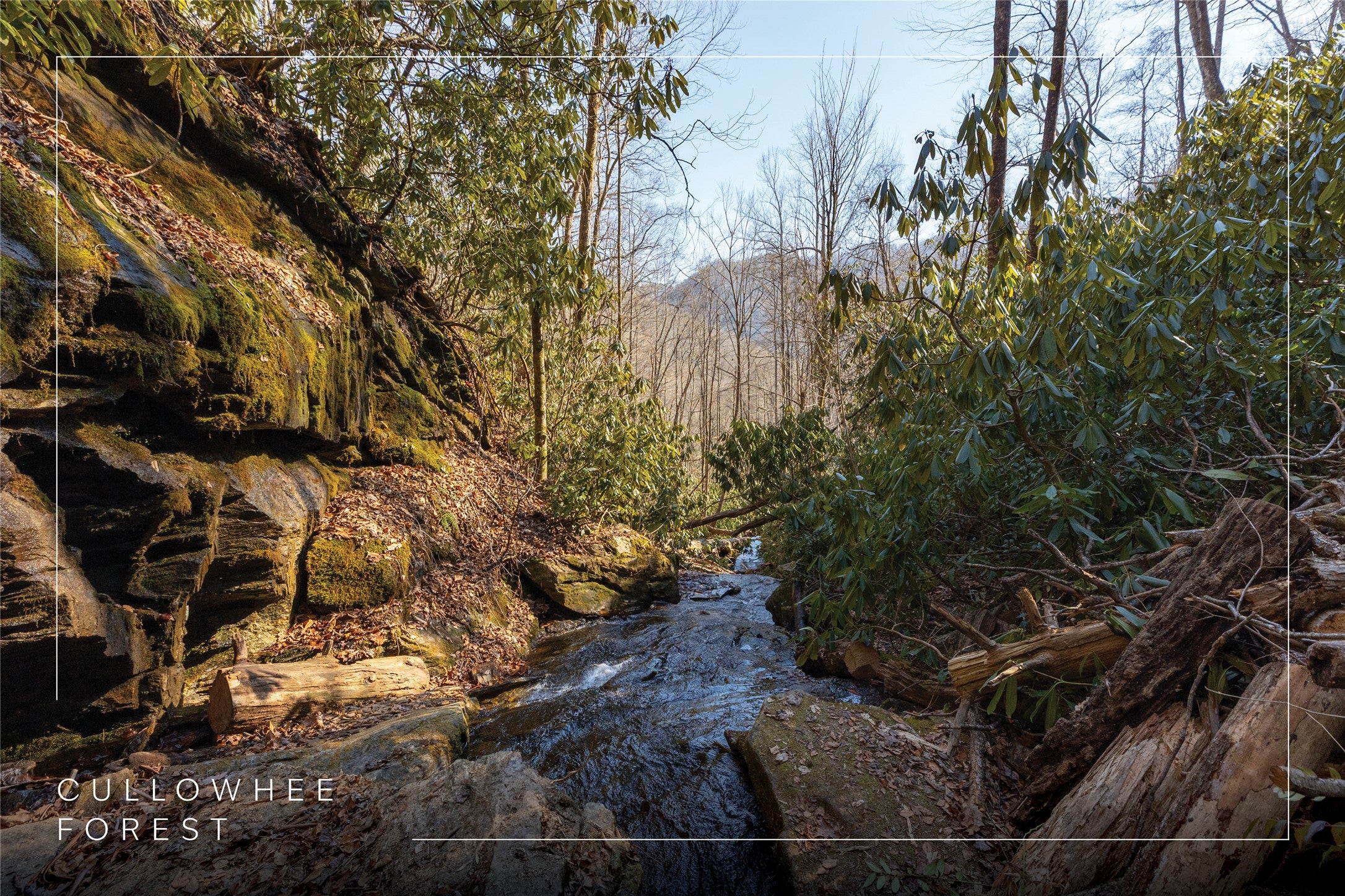 53 Cullowhee Forest Road Cullowhee, NC 28723 - Photo 3 of 41 View downstream from waterfall