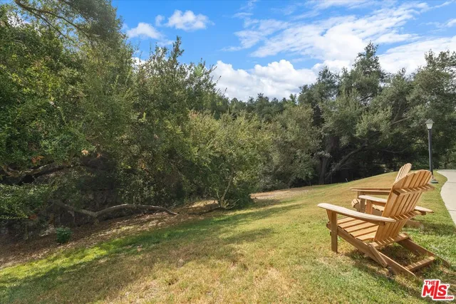 a view of a green yard with large trees