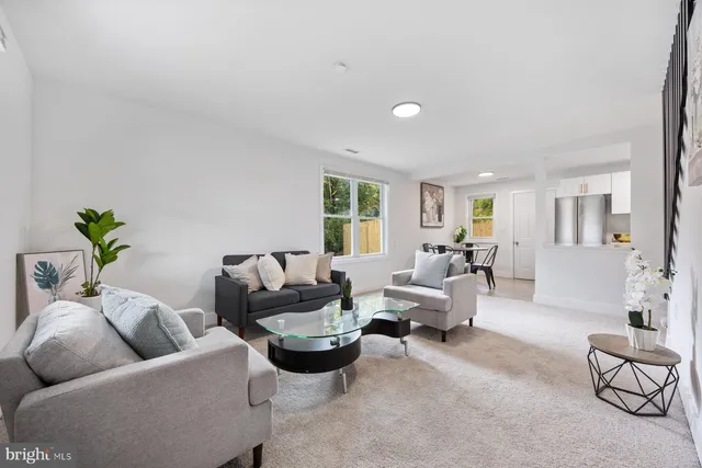 a living room with furniture or couch and a potted plant
