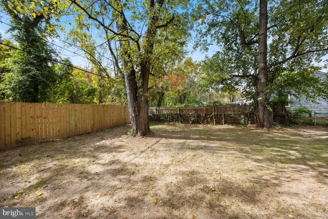a view of backyard with tree