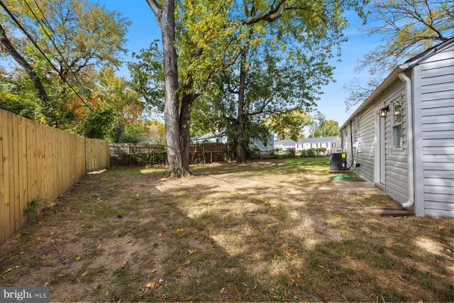 a view of a yard with plants and trees