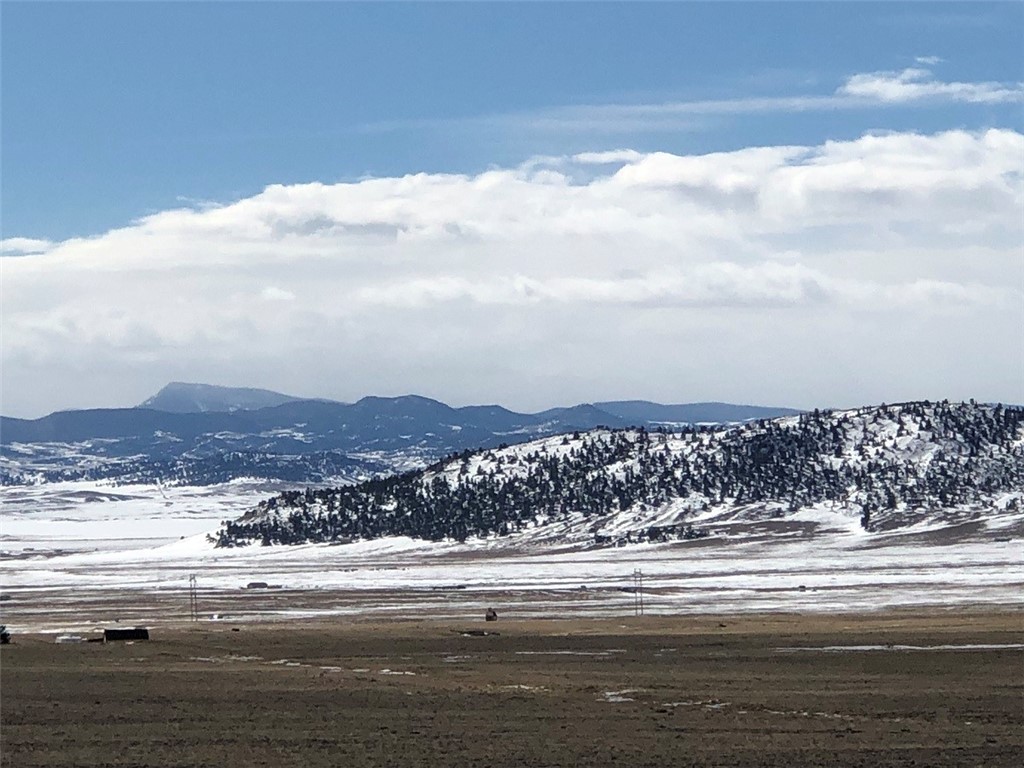 1116 Garfield Road Hartsel, CO 80449 - Photo 1 of 11 Gallery Image 1
