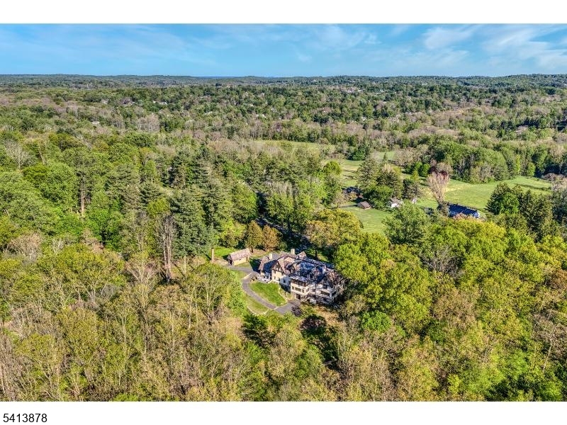 251 Mountainside Road Mendham, NJ 07945 - Photo 45 of 49