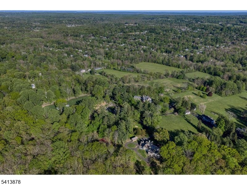251 Mountainside Road Mendham, NJ 07945 - Photo 46 of 49