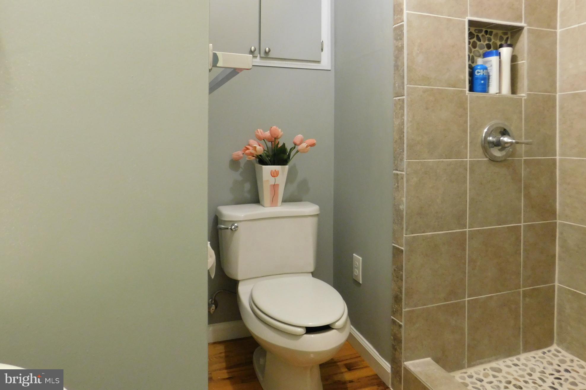 161 Double Church Road Stephens City, VA 22655 - Photo 21 of 30 Bathroom #2