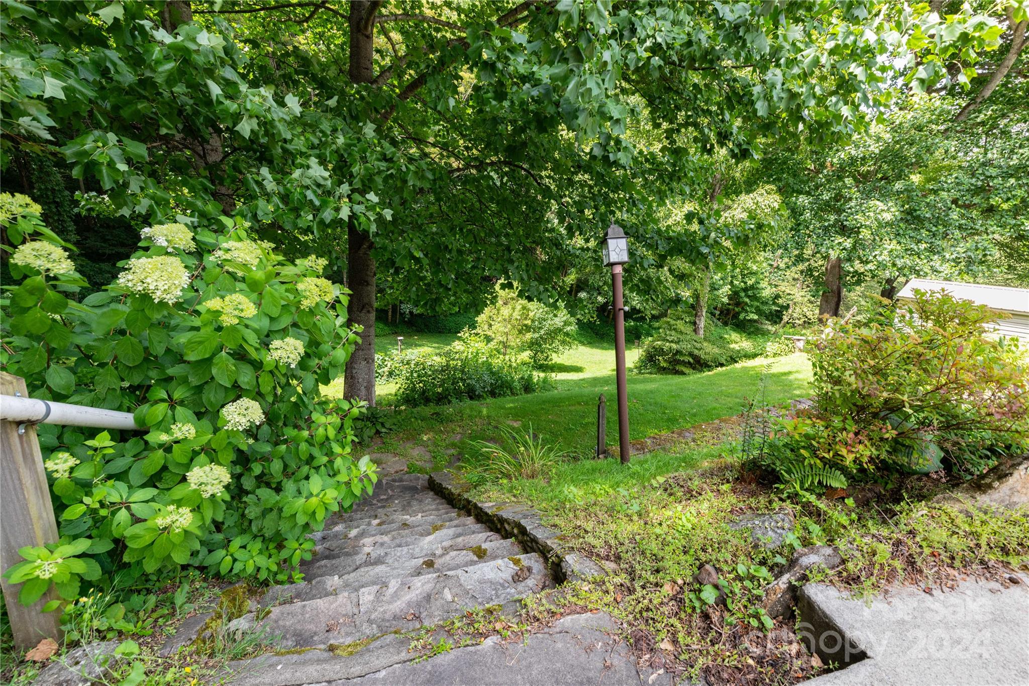 164 Atari Road Waynesville, NC 28786 - Photo 11 of 36 a view of a garden with plants
