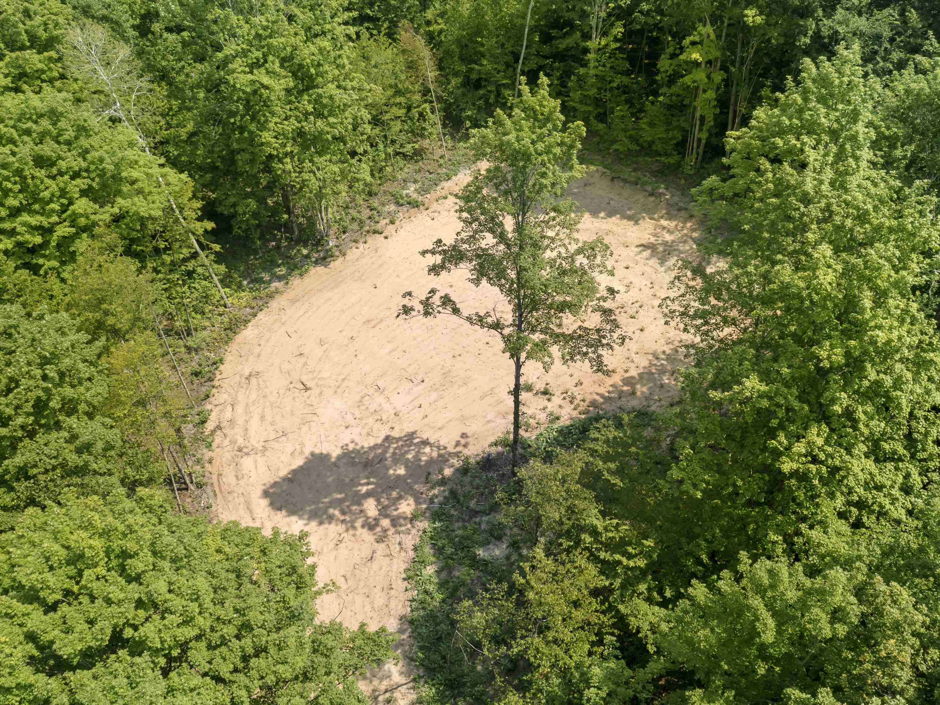 1233 South Zimmerman Road Beulah, MI 49617 - Photo 4 of 12 Gallery Image 4