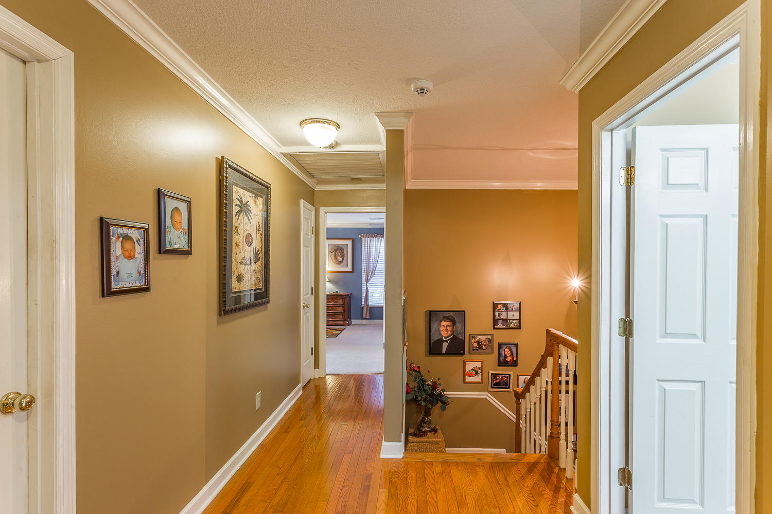 1217 Chapman Road Ringgold, GA 30736 - Photo 17 of 32 1217 Chapman HD -39