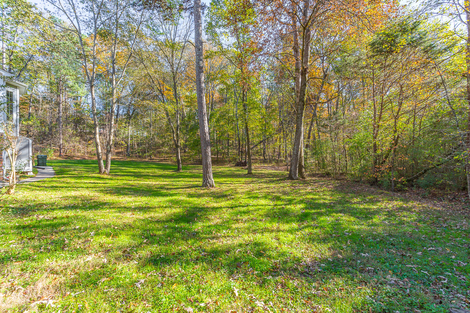 1217 Chapman Road Ringgold, GA 30736 - Photo 28 of 32 1217 Chapman HD -56