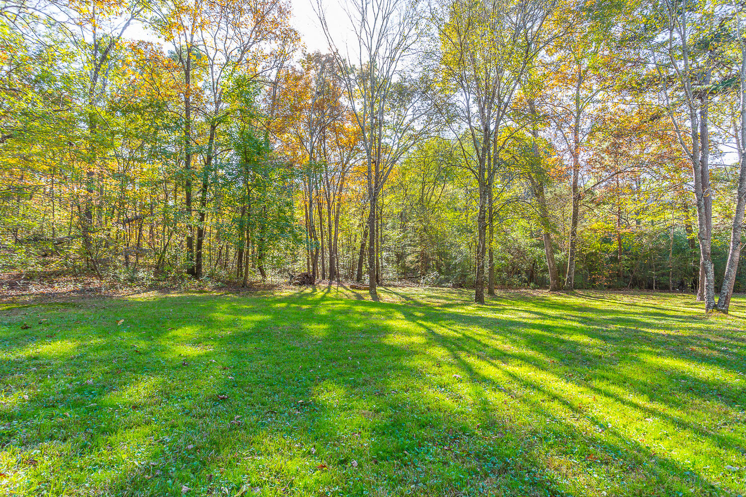 1217 Chapman Road Ringgold, GA 30736 - Photo 31 of 32 1217 Chapman HD -63