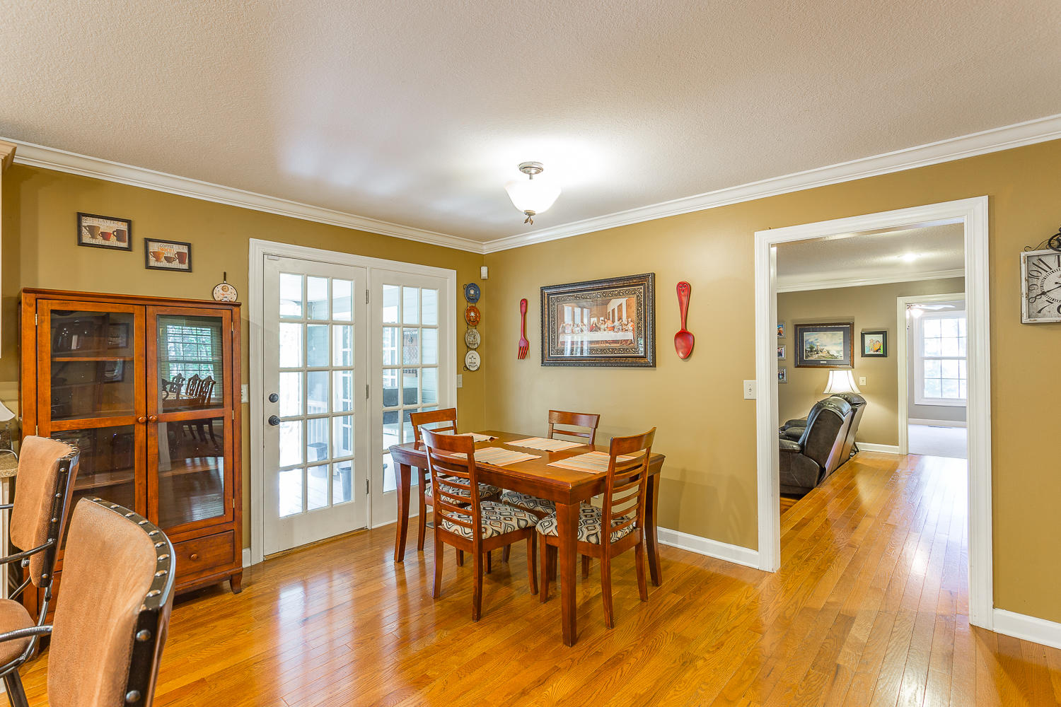 1217 Chapman Road Ringgold, GA 30736 - Photo 8 of 32 1217 Chapman HD -12
