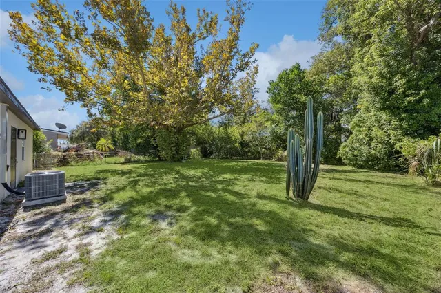 a view of a yard with a tree