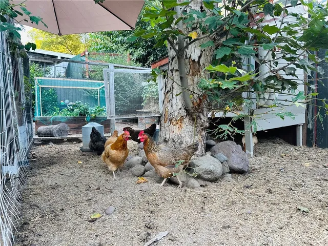 a view of a yard with sitting area