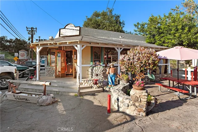 an aerial view of residential house with green space