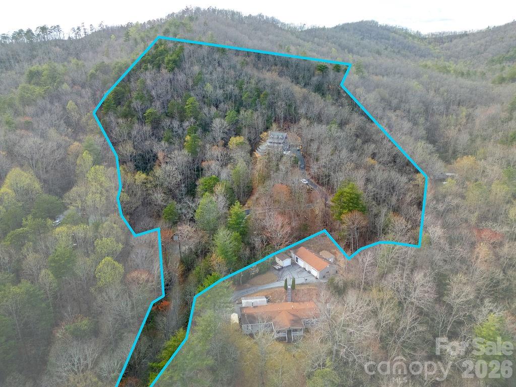 410 Forest Lake Road Brevard, NC 28712 - Photo 41 of 48