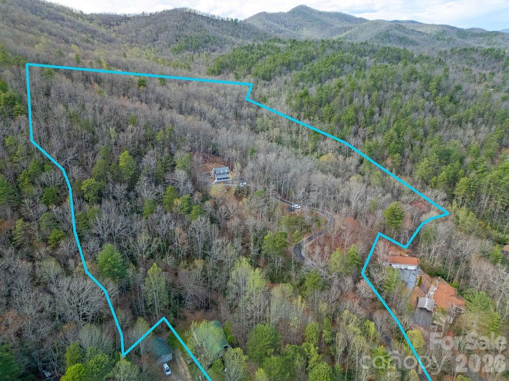 410 Forest Lake Road Brevard, NC 28712 - Photo 42 of 48