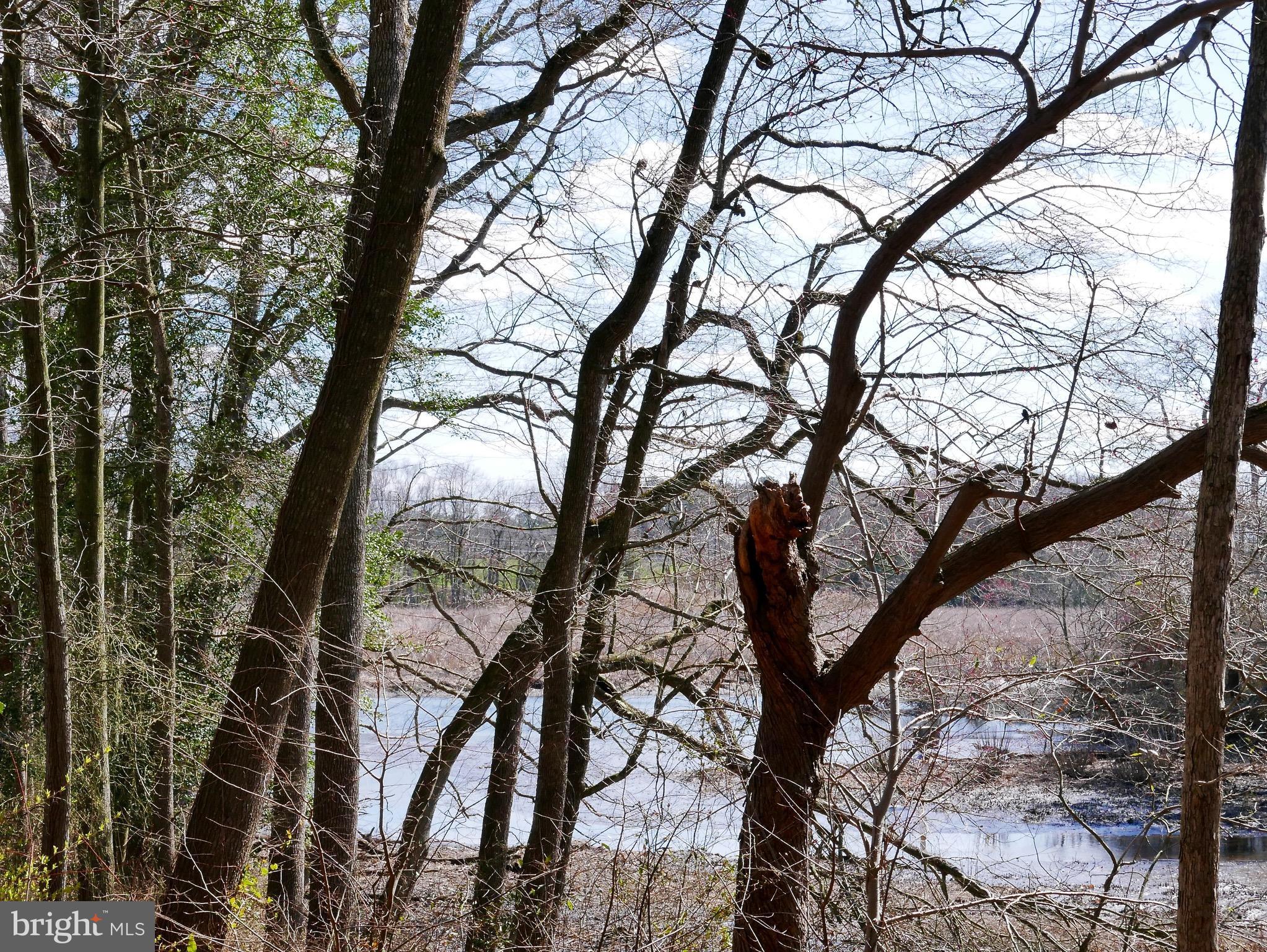 2978 Back Landing Road Preston, MD 21655 - Photo 27 of 30 View of Hunting Creek