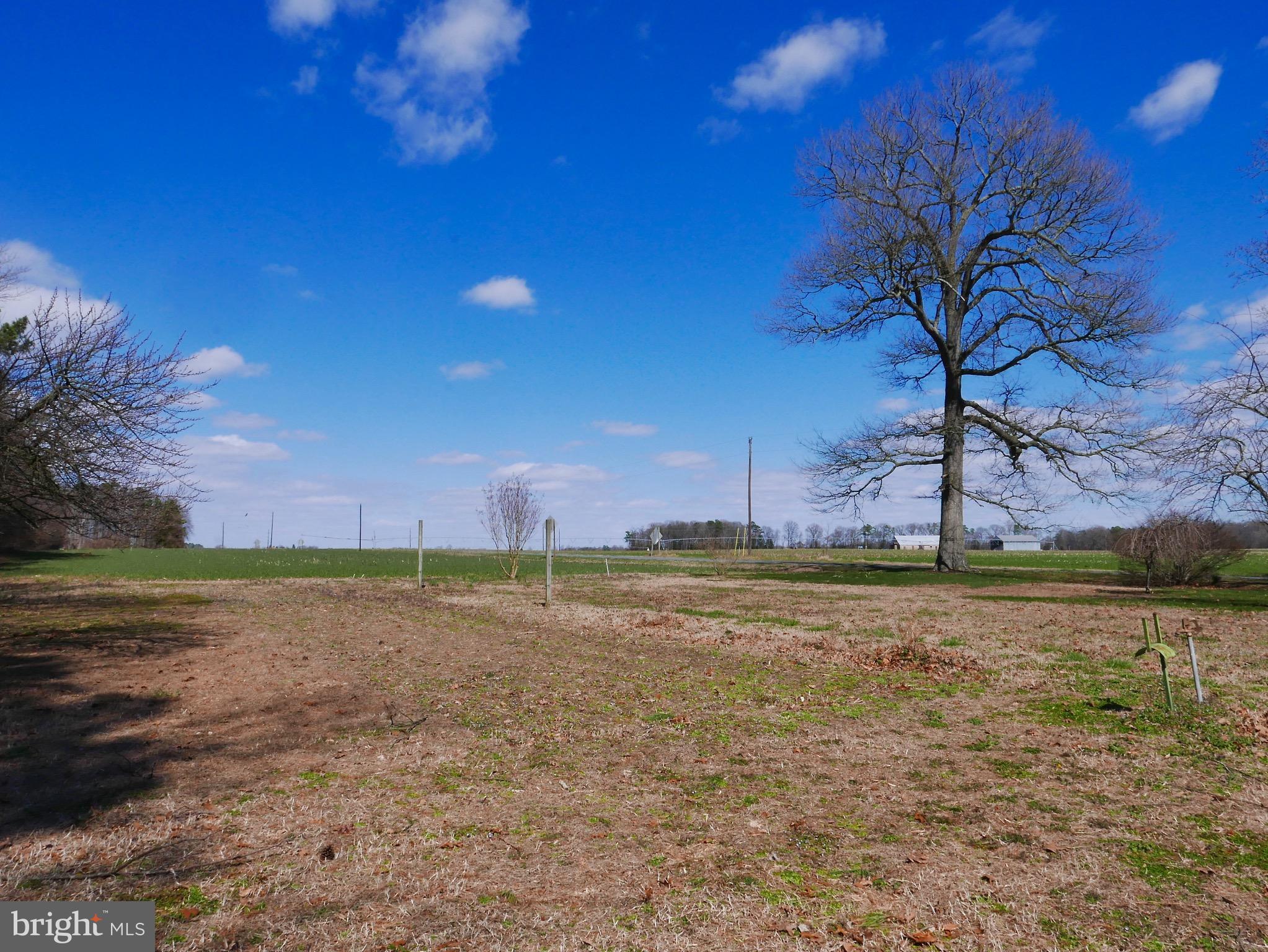 2978 Back Landing Road Preston, MD 21655 - Photo 29 of 30 View of Vegetable garden area & side yard