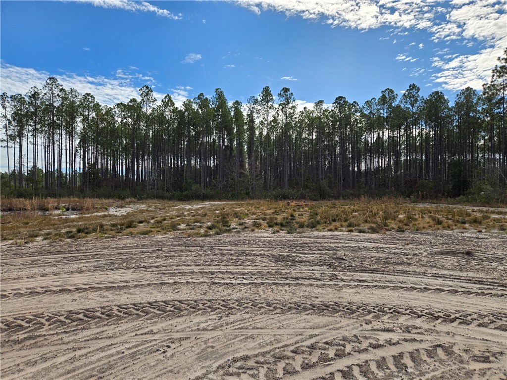 0 Duck Road Waycross, GA 31503 - Photo 11 of 16