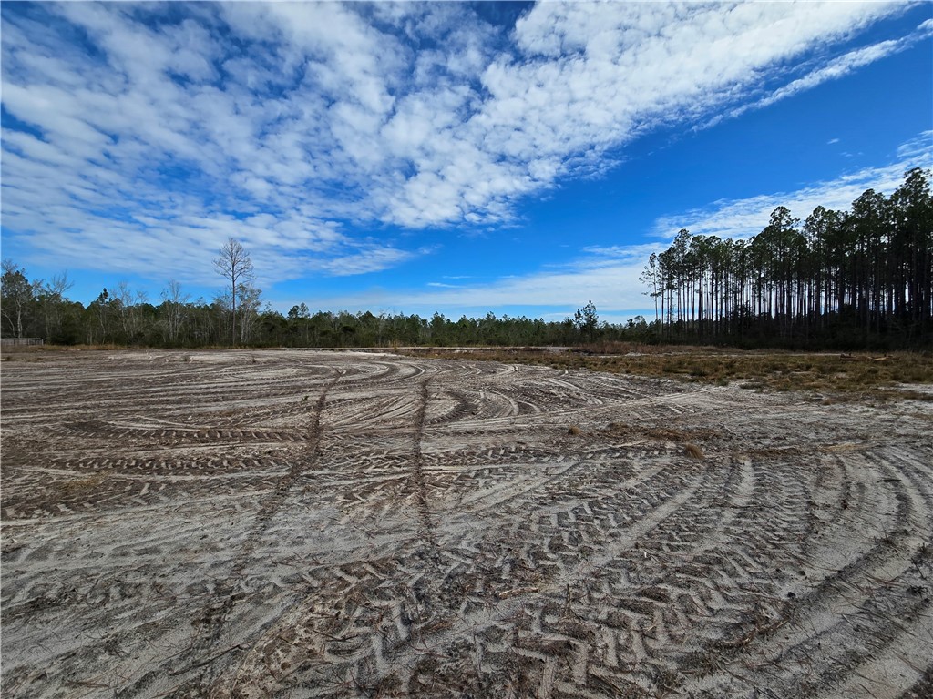 0 Duck Road Waycross, GA 31503 - Photo 12 of 16
