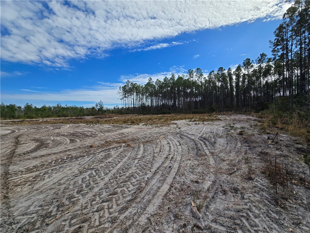 0 Duck Road Waycross, GA 31503 - Photo 13 of 16