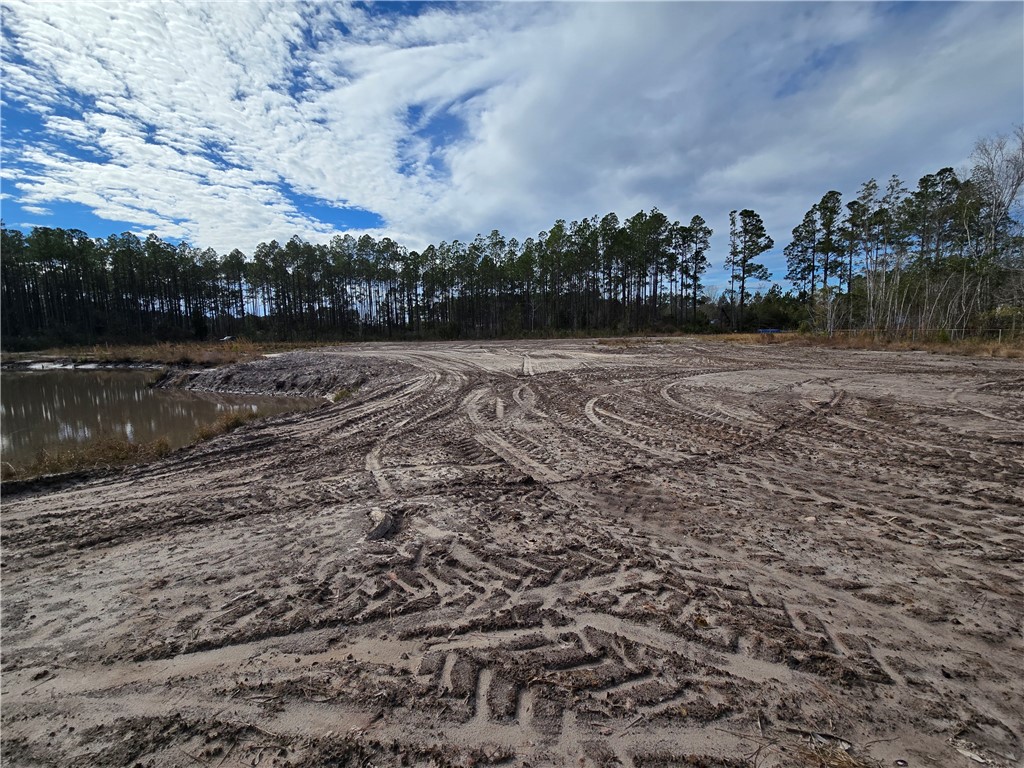 0 Duck Road Waycross, GA 31503 - Photo 7 of 16