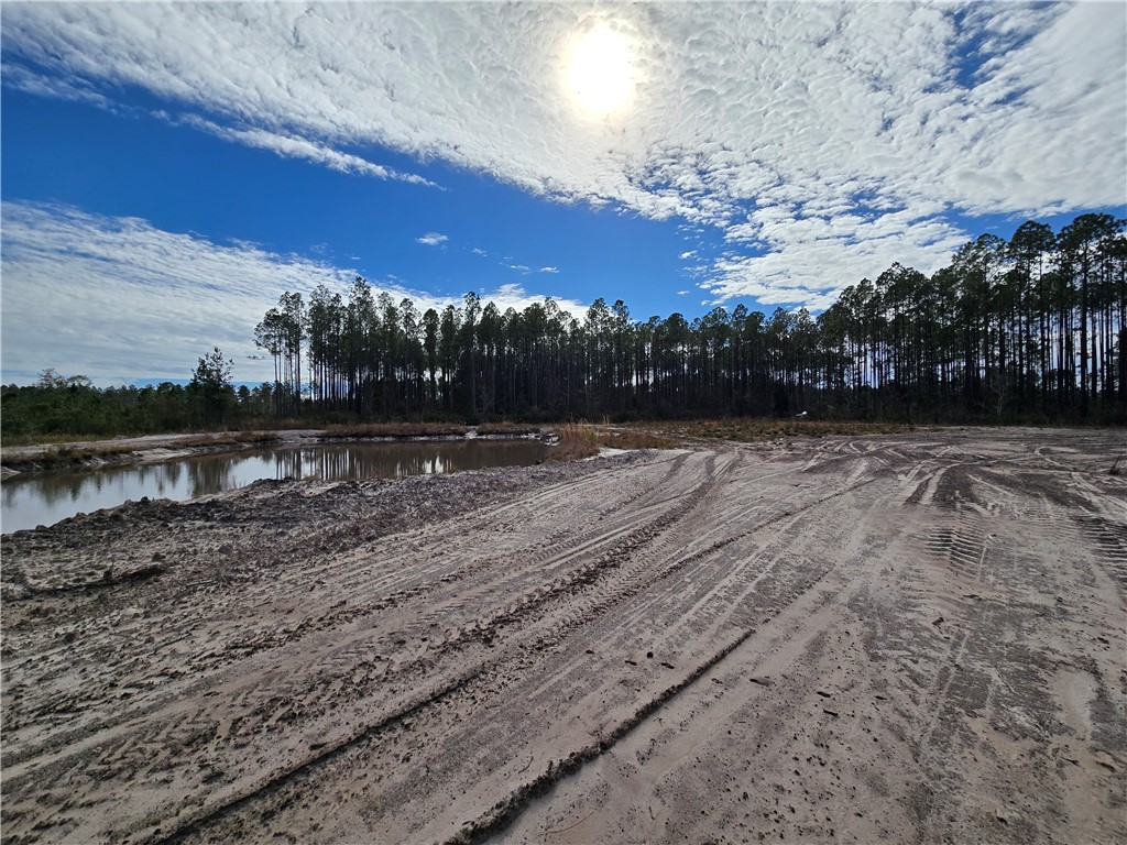 0 Duck Road Waycross, GA 31503 - Photo 10 of 16