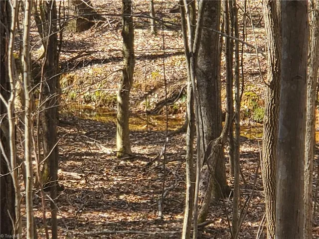 $194,900 | 1969 Mulberry Academy Street, Franklinville, NC 27248