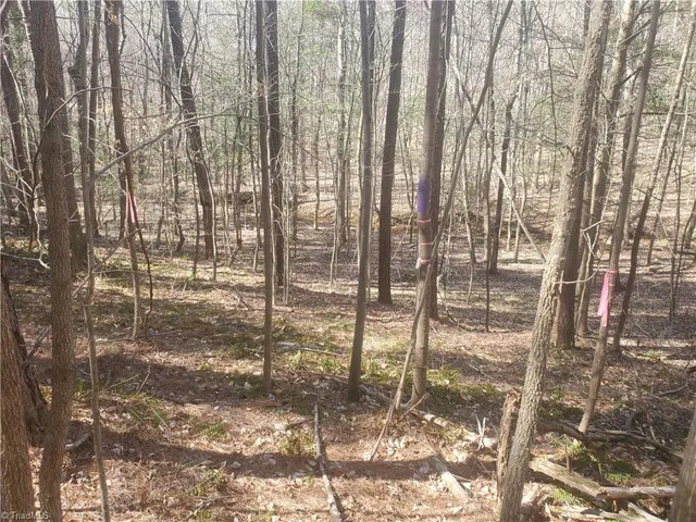 $194,900 | 1969 Mulberry Academy Street, Franklinville, NC 27248