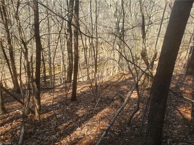 $194,900 | 1969 Mulberry Academy Street, Franklinville, NC 27248